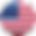 Flag of the United States of America