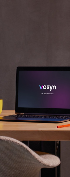 Vosyn Preview.png