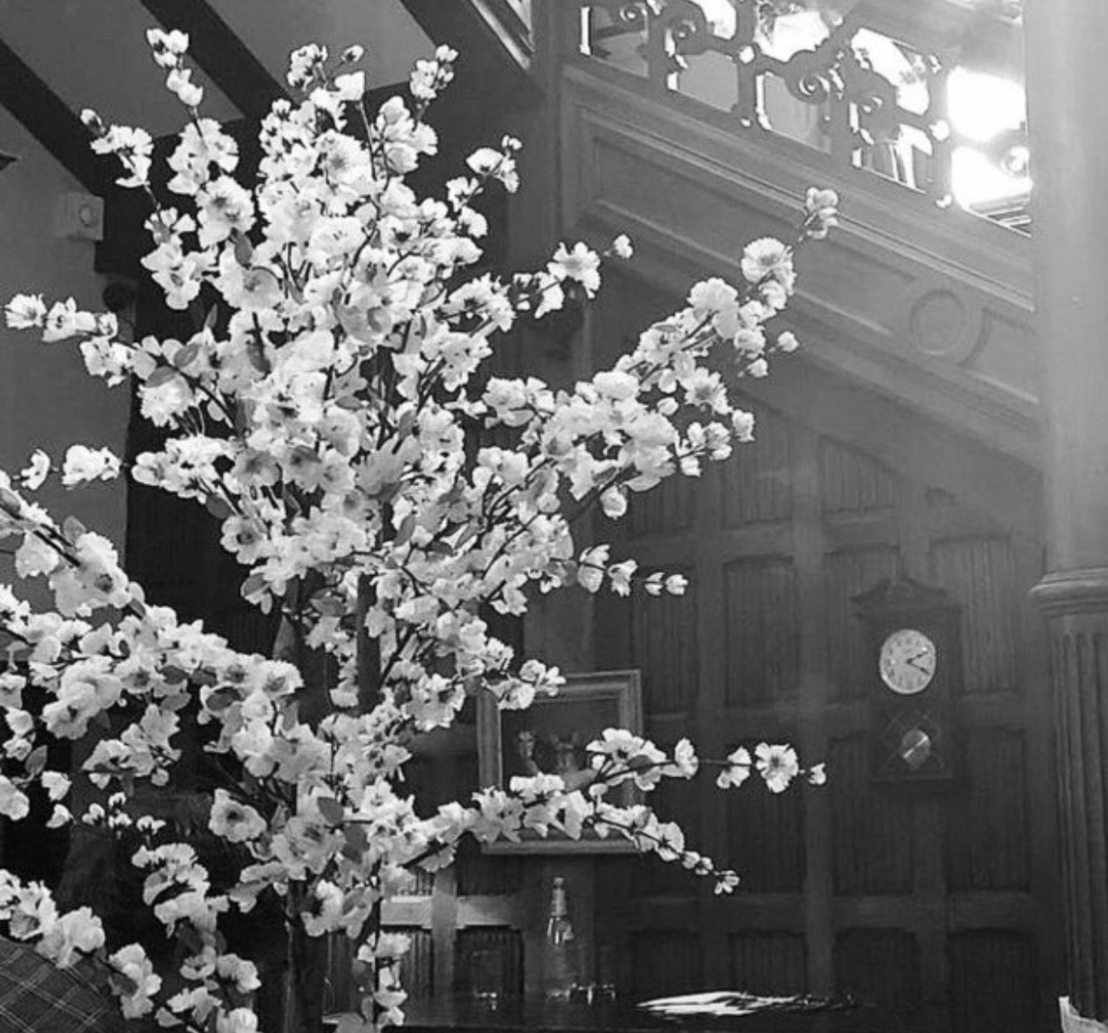 Blossom Trees