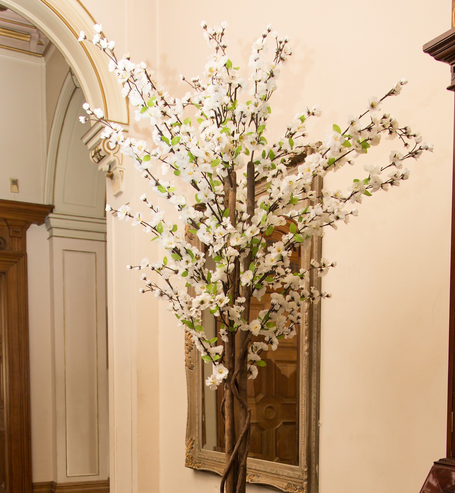 Blossom Trees