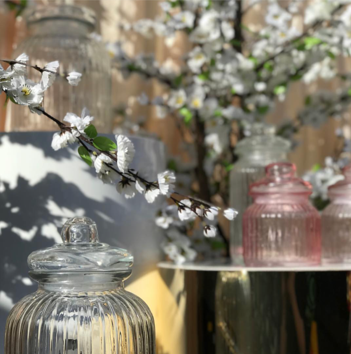 Blossom Trees