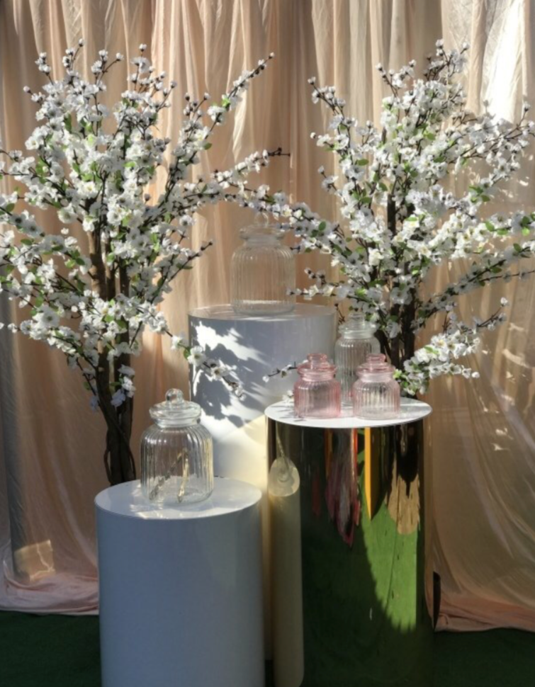 Blossom Trees