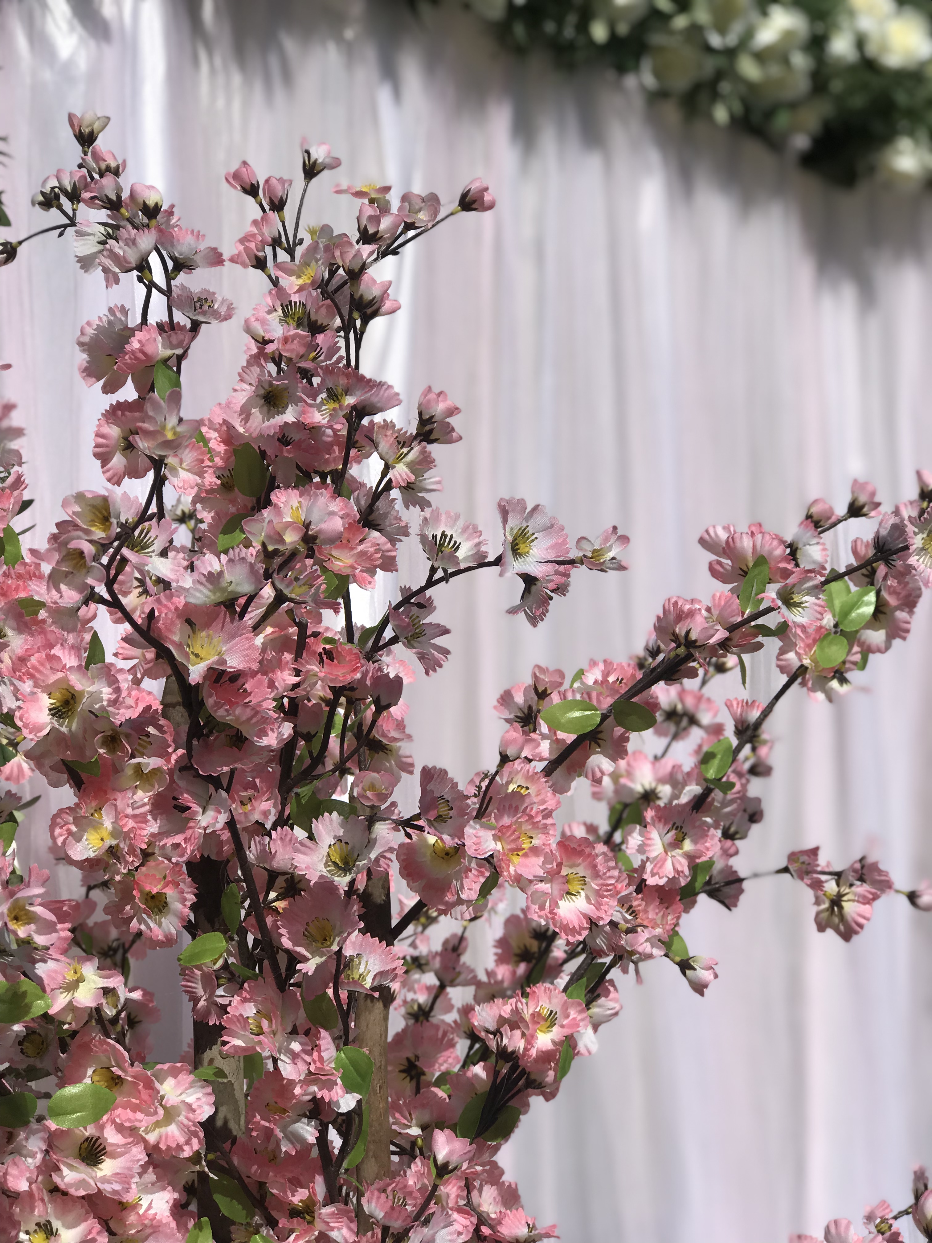 Blossom Trees