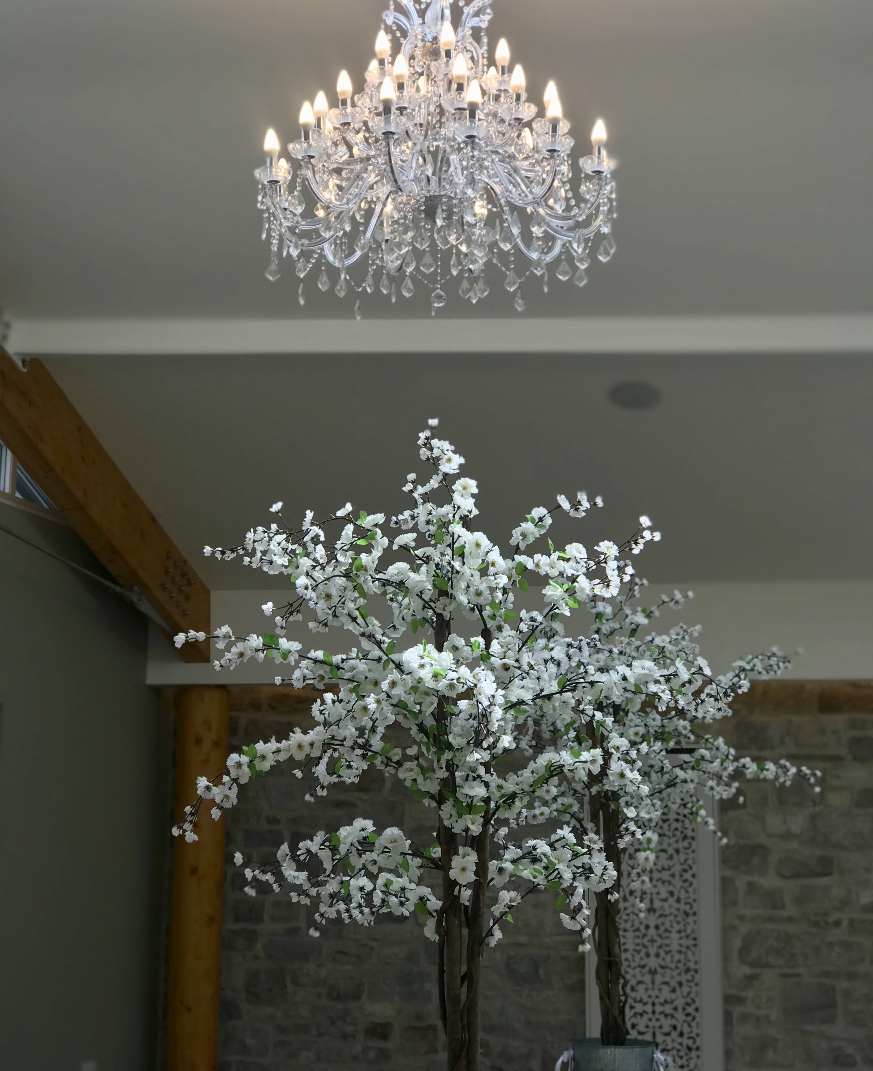 Blossom Trees