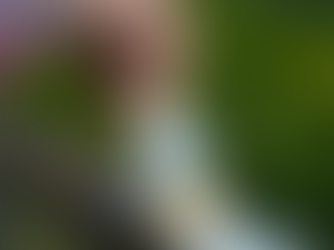 a man brushes white paint on an exterior railing