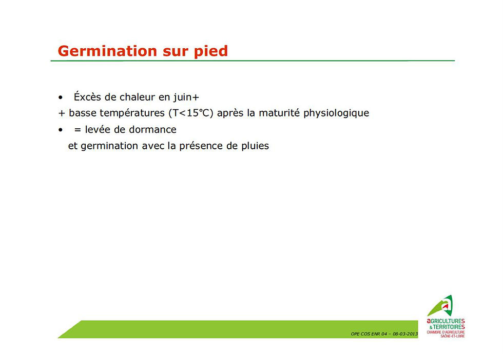 Test germination page 2