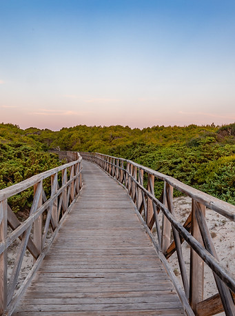 Playa de Muro Strand - Mallorca / Spanien