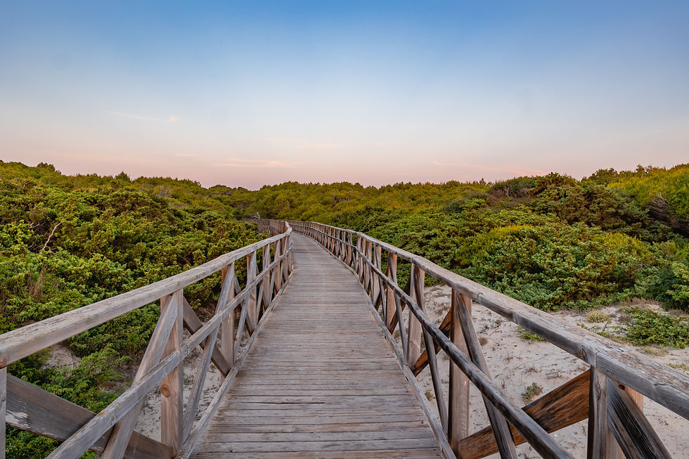 Playa de Muro beach, Mallorca, Spain