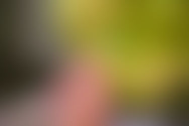 Blog Post 2