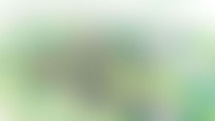 Housing Developers Smell Money - Green Belt Across Sheffield at Risk