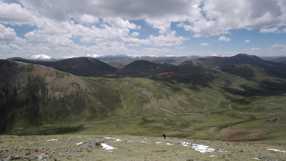 "You can find caterpillar fungus all around this place" - Pengcuo