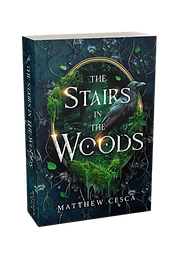 The Stairs in the Woods book cover