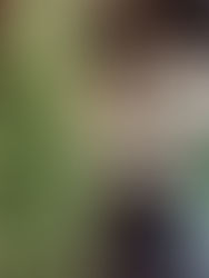 Le 43 bar, terrasses