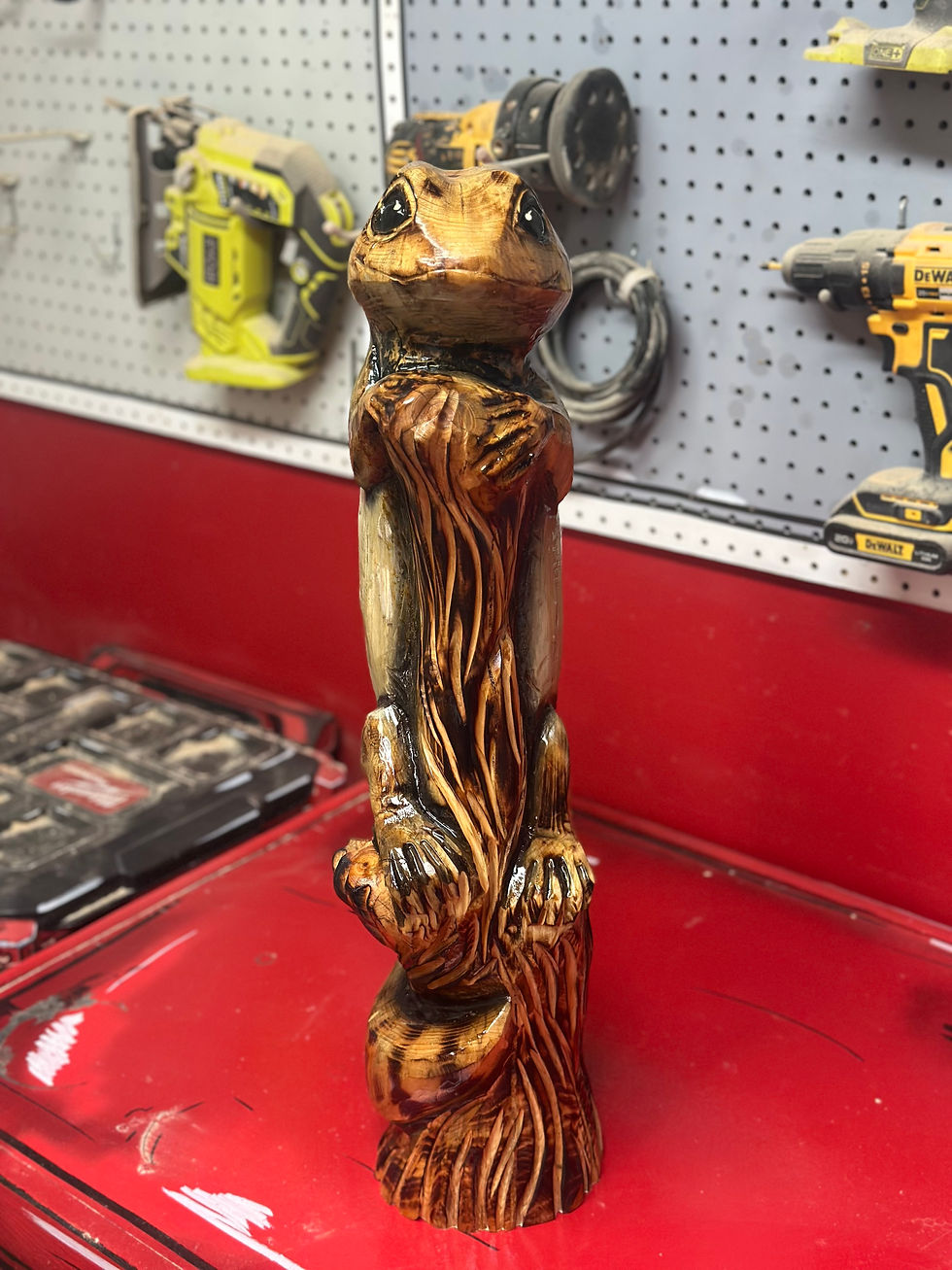 Thumbnail: 25" Gecko on a Log Chainsaw Carving by Kyra Waits