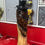 Thumbnail: 28" Owl with a Top Hat Chainsaw Carving by Kyra Waits