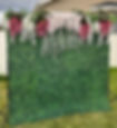 Ivy Wall