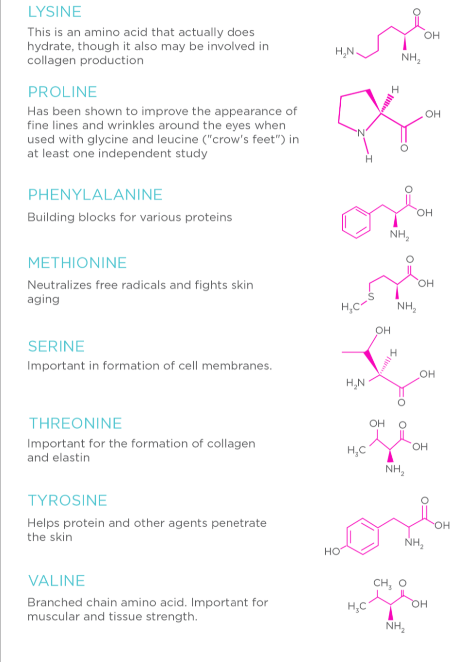 amino acids list amino acids list