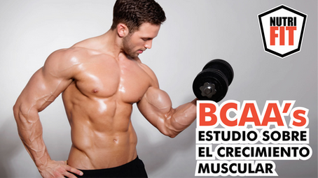 ESTUDIO DE LOS AMINOÁCIDOS RAMIFICADOS BCAA'S Y LA SÍNTESIS PROTEICA EN EL ENTRENO