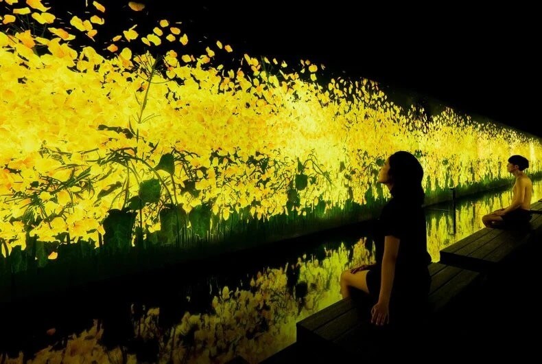 TeamLab Borderless Tokyo