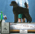 Kiss won Best Female at Premier 2012