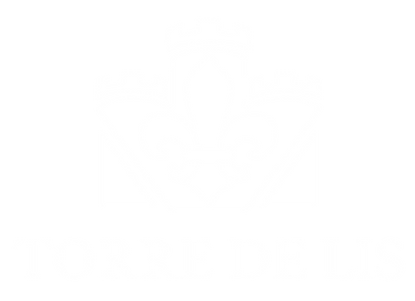 TorreLis(negativo).png