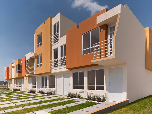 Modelo Ceiba