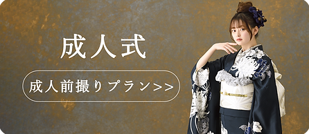 姫路フォトスタジオトミー成人前撮りプラン