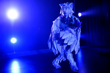 DREAM PROJECT: PUCK'S WINGS
