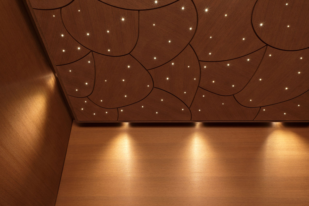 Klafs Casena Потолок CURVE из дерева венге с изображением ПОЛЯРНОГО ЗВЕЗДНОГО НЕБА