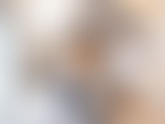 光と風が心地よく通る、平屋で叶える家族の暮らし