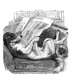 dog reading.webp