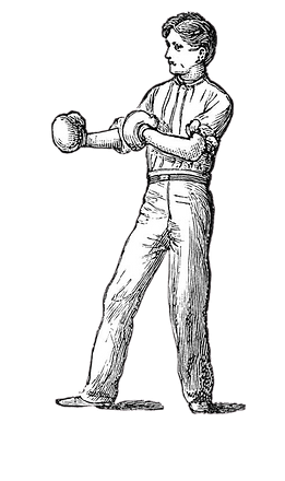 the_boxer-removebg-preview_edited.webp