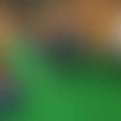 今年最初のふれあいホール😆