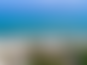 Welcome to Zanzibar: Where Heaven Comes to Life