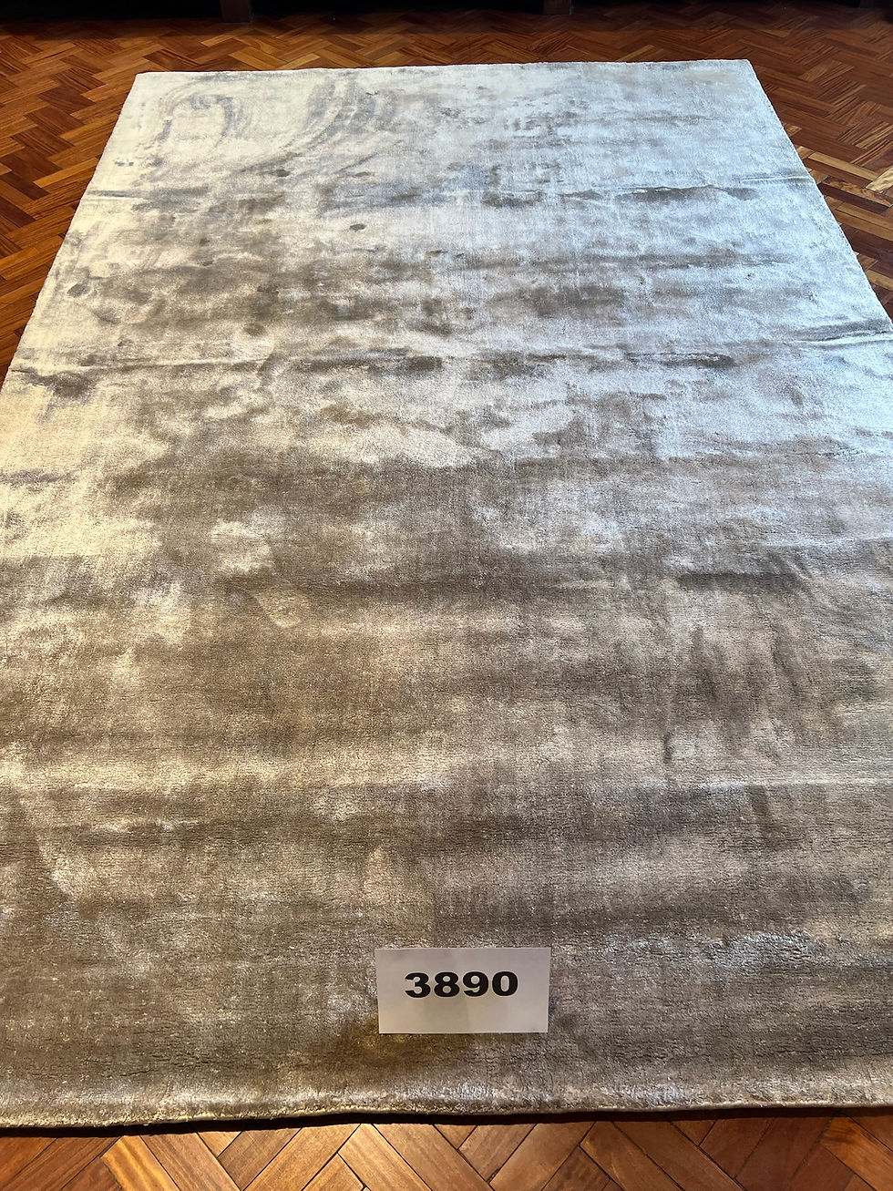 Miniatura: Alfombra 3890