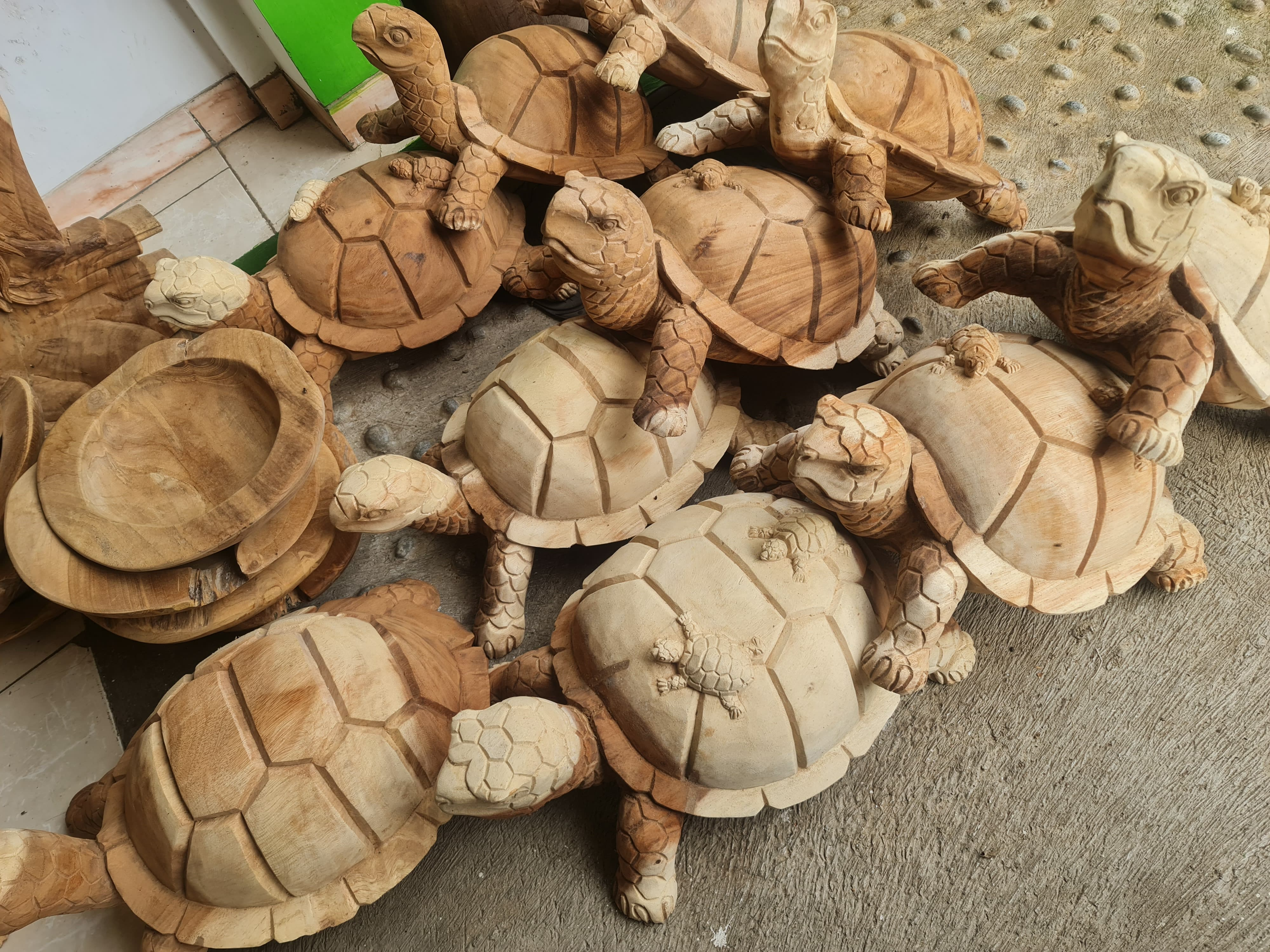 Tortue 30 cm en suar 