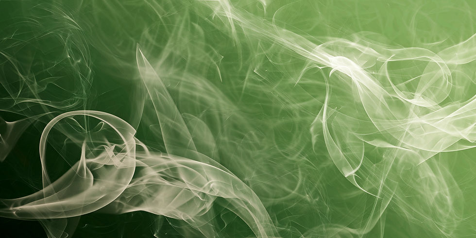 Firefly_much more dark green 476978_edited.jpg