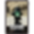 13.png