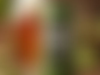 Designing a SMaSH IPA with ChatGPT