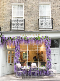 Saint Aymes Wisteria 2018