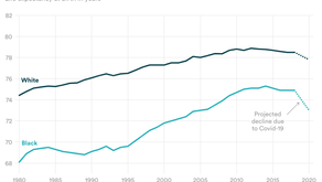 A landmark report spotlighted systemic racism in medicine