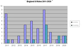IPCC concerned about rise in minority ethnic deaths following police restraint