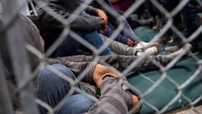 Secret Stephen Miller Plan Uses Migrant Children Data