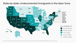 THE 'OTHER' ILLEGAL IMMIGRANTS