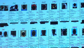 FBI has 850 open cases on domestic terrorism, officials say