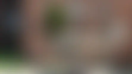 'Heat islands': racist housing policies in US linked to deadly heatwave exposure