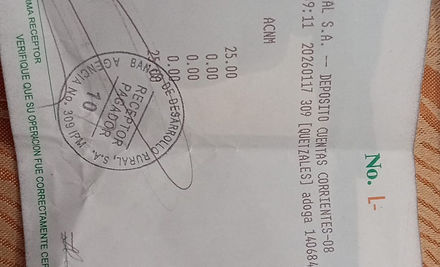 Ejemplo Boleta.jpg