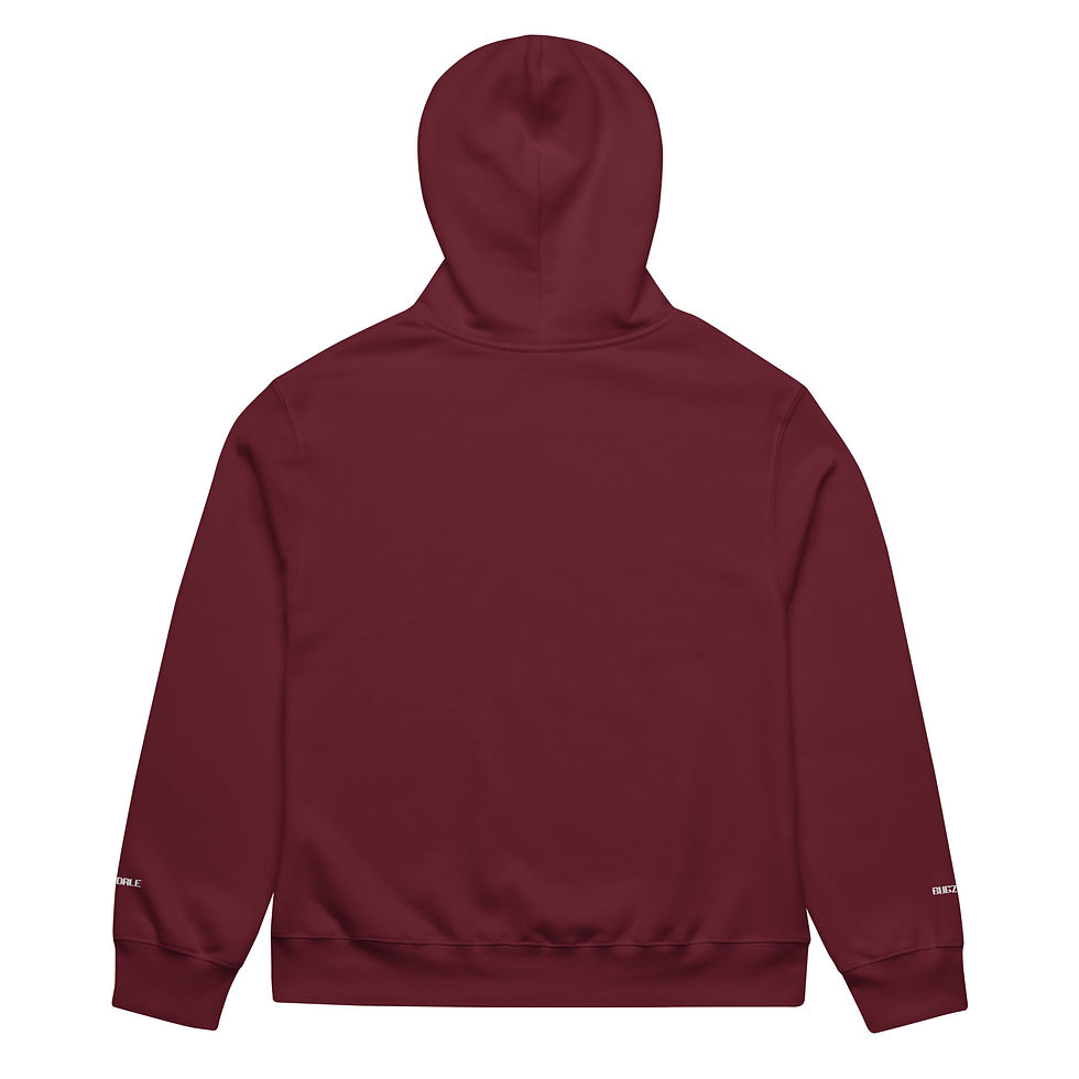 Thumbnail: BDNY Oversized heavyweight hoodie embro small