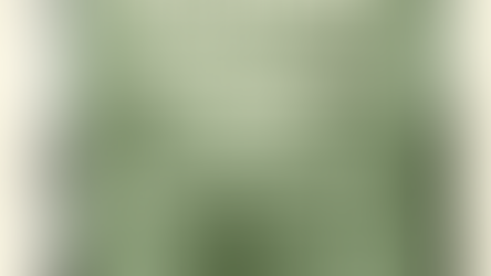 Propuesta de remoción y reemplazo de las estatuas honoríficas acolonizadores en la ciudad de Bogotá