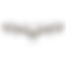 Decorative Leaves